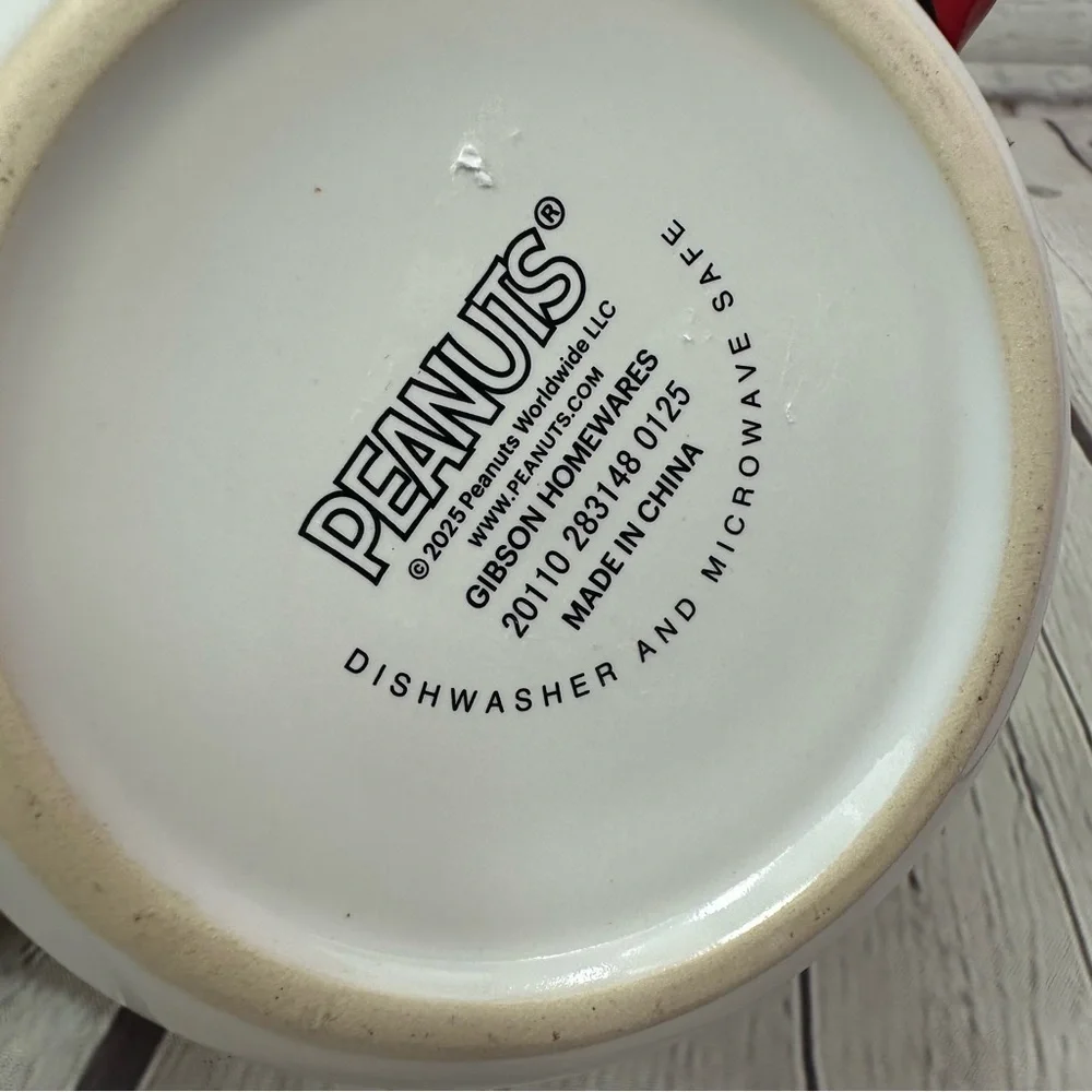 NWT Peanuts Characters Mug charlie brown 21oz snoopy dog house woodstock - Picture 6 of 6